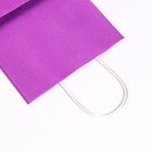 Пакет подарочный крафт с глиттером сиреневый, 21?11?27 см (комплект 2 шт) - фото 48888157 Пакет подарочный крафт с глиттером сиреневый, 21?11?27 см (комплект 2 шт) - фото 48888157