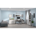 Комод с 3-мя ящиками и дверью «Флекс 5», 1100×450×780 мм, цвет дуб шавиниган - фото 14633492