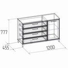 Комод напольный для спальни Aurelio 455, на ножках, 4 ящика, 1 дверь, 1200×455×777 мм, цвет белый/блеквуд сатиновый - Фото 3