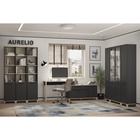 Тумба под ТВ Aurelio 33, 1200×455×607 мм, цвет антрацит / блеквуд сатиновый - Фото 4