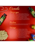 Новогодний подарочный набор косметики SB BEAUTY, шампунь, гель для душа, бомбочка, мочалка, с ароматом хвои и мандарина - фото 58020999