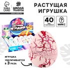 Растущие игрушки Funny toys «Вырасти своего питомца. Змея», с белым напылением, МИКС - Фото 1