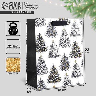 Пакет подарочный новогодний ламинированный «Зимняя сказка», MS 23×18×10 см