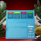 Чай подарочный, набор «Сани», 24 пирамидки - Фото 2