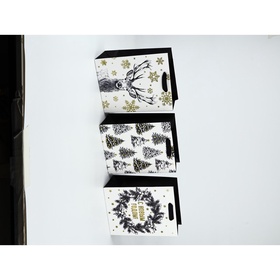 Набор пакетов «Новый год», 3 шт,  18 × 23 × 9 см