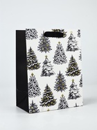 Набор пакетов «Новый год», 3 шт,  18 × 23 × 9 см 10707002