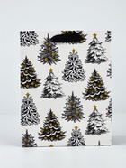 Набор пакетов «Новый год», 3 шт,  18 × 23 × 9 см 10707002