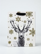 Набор пакетов «Новый год», 3 шт,  18 × 23 × 9 см 10707002