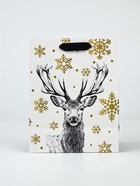 Набор пакетов «Новый год», 3 шт,  18 × 23 × 9 см 10707002