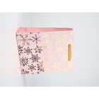 Набор пакетов «Новый год», 3 шт,  26 × 30 × 9 см 10707003