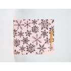 Набор пакетов «Новый год», 3 шт,  26 × 30 × 9 см 10707003