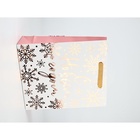 Набор пакетов «Новый год», 3 шт,  26 × 30 × 9 см 10707003