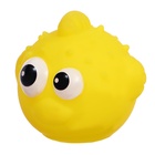 Резиновые игрушки для купания в ванной, набор, с сачком, МИКС - Фото 6