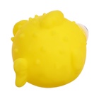 Резиновые игрушки для купания в ванной, набор, с сачком, МИКС - Фото 8