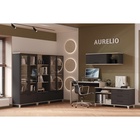 Шкаф Aurelio 22, 800×355×1727 мм, цвет антрацит / блеквуд сатиновый - Фото 4