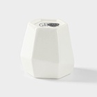 УЦЕНКА Набор для специй на деревянной подставке BellaTenero, 4 предмета: солонка 75 мл, перечница 75 мл, салфетница, ёмкость для зубочисток, цвет белый - Фото 5