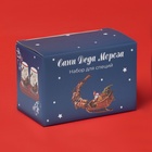 Набор для специй новогодний Доляна «Сани Деда Мороза», 3 предмета: солонка 130 мл, перечница 130 мл, подставка, 16.8×12×9 см, доломит - Фото 7