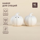 Набор для специй SL Home «Осенний бриз», 100 мл, доломит, белый - Фото 1