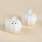 Набор для специй SL Home «Осенний бриз», 100 мл, доломит, белый - Фото 2