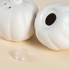 Набор для специй SL Home «Осенний бриз», 100 мл, доломит, белый - Фото 3