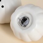 Набор для специй SL Home «Осенний бриз», 100 мл, доломит, белый - Фото 4