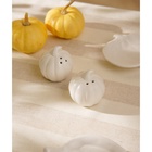 Набор для специй SL Home «Осенний бриз», 100 мл, доломит, белый - Фото 6