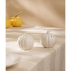 Набор для специй SL Home «Осенний бриз», 100 мл, доломит, белый - Фото 7