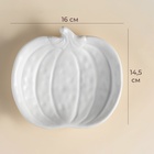 Тарелка SL Home «Осенний бриз», 16×14.5×3.3 см, доломит, белая - Фото 2