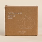 Тарелка SL Home «Осенний бриз», 16×14.5×3.3 см, доломит, белая - Фото 7