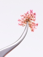 Сухоцветы для декора «Весна», в футляре, МИКС - Фото 3