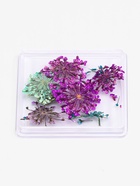 Сухоцветы для декора «Цветочная поляна», в футляре, МИКС - Фото 2