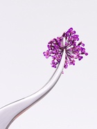 Сухоцветы для декора «Цветочная поляна», в футляре, МИКС - Фото 3