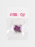 Сухоцветы для декора «Цветочная поляна», в футляре, МИКС - Фото 5