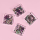 Сухоцветы для декора «Цветочная поляна», в футляре, МИКС - Фото 6