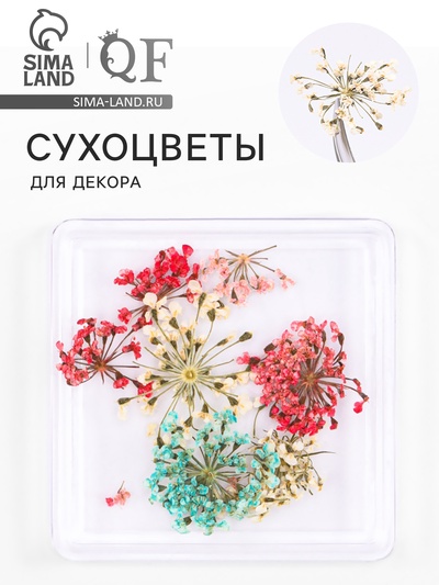 Сухоцветы для декора «Яркость», в футляре, МИКС