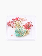 Сухоцветы для декора «Яркость», в футляре, МИКС - Фото 2