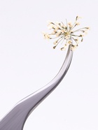 Сухоцветы для декора «Яркость», в футляре, МИКС - Фото 3