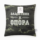 Подушка декоративная «Этель. Защитник и опора», 40×40 см, велюр - фото 68151000