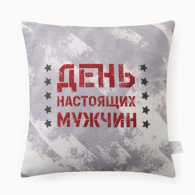 Подушка декоративная «Этель. День настоящих мужчин», 40×40 см, велюр