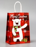 Подарочные пакеты новогодние крафт «Рождество», 15?21?8 см, Набор 5 шт. (комплект 2 шт) - фото 42938614