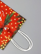 Подарочные пакеты новогодние крафт «Рождество», 15?21?8 см, Набор 5 шт. (комплект 2 шт) - фото 42938619