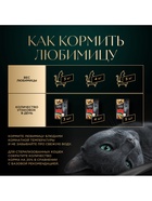 Влажный корм Sheba для кошек с говядиной, паштет в желе, пауч 75 г - Фото 6