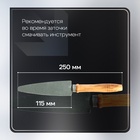 Брусок абразивный с рукояткой ТУНДРА, Р180, общая длина 250 мм, рабочая 115 мм - Фото 2