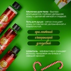 Новогодний подарочный набор косметики SB BEAUTY, шампунь, гель для душа, молочко для тела, с ароматом миндаля и мандарина - Фото 3