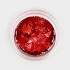 Глиттер пищевой фигурный «Ёлки красные», 0.5 г - Фото 2