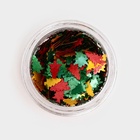 Глиттер пищевой фигурный «Ёлки разноцветные», 0.5 г - Фото 2