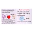 Магнитный развивающий набор «Части и целое», 50 фишек, 7+ - Фото 8