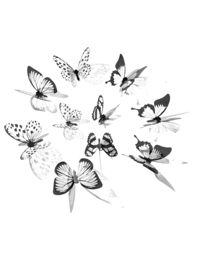 Интерьерный декор «Бабочки полупрозрачные», пластик, чёрные, набор 18 шт., без клеевого слоя, 5; 6; 7 см