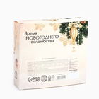 Подарочный набор «Время новогоднего волшебства» чай 50 г, специи 10472219 - фото 13712010
