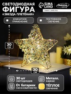 Светодиодная фигура «Звезда плетенная», 30×30×7 см, 30 LED, от батареек ААх3, свечение тёплое белое - Фото 1